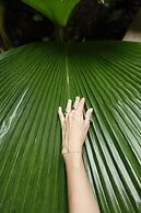 Calea Tulum Boutique Hotel