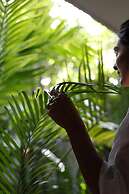 Calea Tulum Boutique Hotel