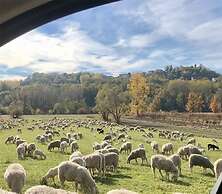 Lusi è in collina