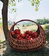Lusi è in collina
