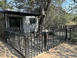 Leadwood Tree Safari Lodge