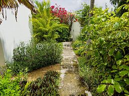 L'oasis du quai