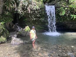Sonsoleá Host
