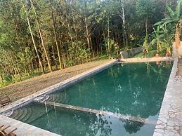 Nyungu Yamawe Forest Park
