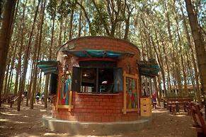 Nyungu Yamawe Forest Park