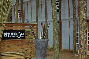 Nyungu Yamawe Forest Park