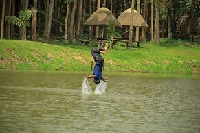Nyungu Yamawe Forest Park