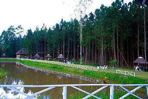 Nyungu Yamawe Forest Park