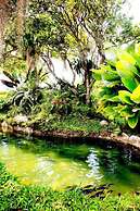 Casa Laureles