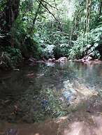 Casa Laureles