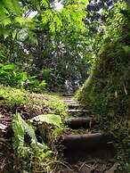Casa Laureles