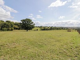 The Cow Shed
