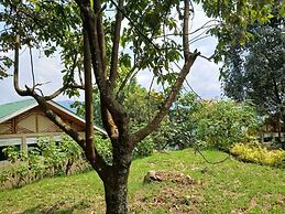 Orugano Bwindi Lodge