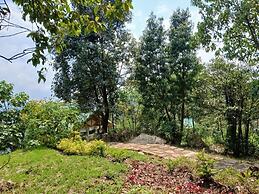 Orugano Bwindi Lodge