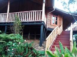 Orugano Bwindi Lodge
