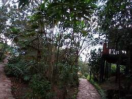 Orugano Bwindi Lodge