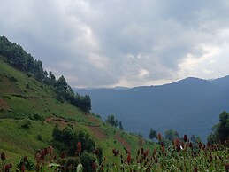 Orugano Bwindi Lodge