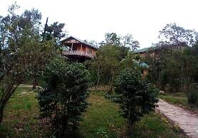 Orugano Bwindi Lodge
