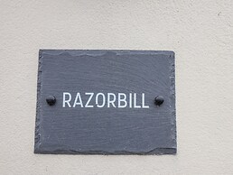 Razorbill