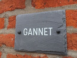 Gannet