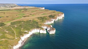 Gannet