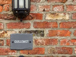 Guillemot