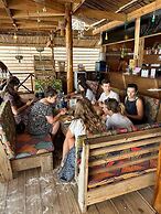 Coconuts Bandas