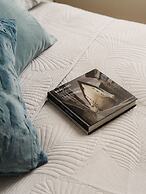 Golden Teal & Silver Birch