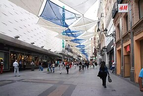 LOFTS Puerta del SOL