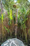 Selva Ecospa Wellness Stay