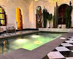 Riad LallaBaya