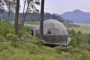lobo glamp