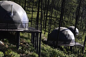 lobo glamp