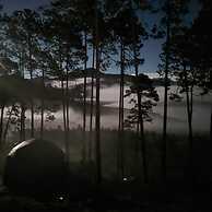 lobo glamp