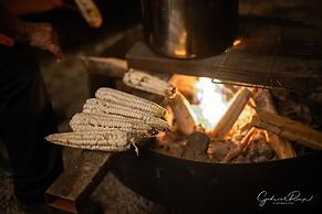 lobo glamp
