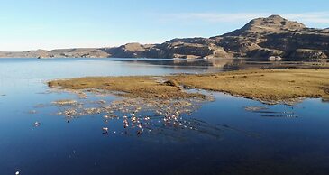 Patagonia Bordelago