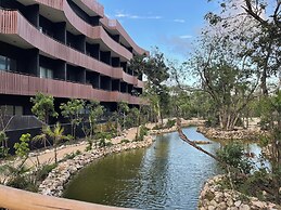OVA CANCUN Y TULUM