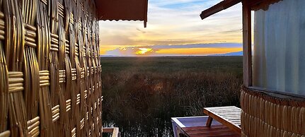 Titicaca Halso Los uros
