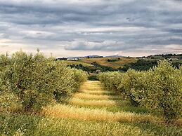 Agriturismo Casa Greppo - Il Noce