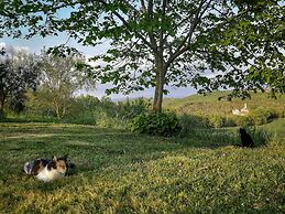 Agriturismo Casa Greppo - Il Noce