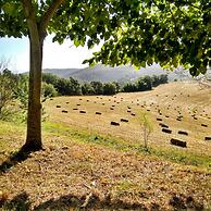 Agriturismo Casa Greppo - Il Noce