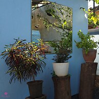 Sashas Holiday Village