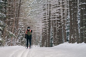 Chalet Refuge 112 - Citq 242292