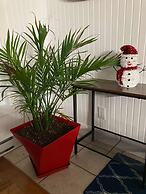Chalet des Becassines Citq 310334