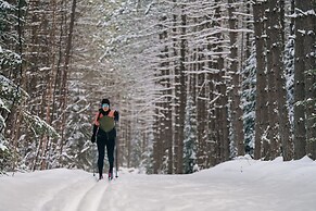 Naro Cabin in Laurentides