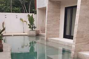 Beautiful Studio With Rooftop Ahrat 8