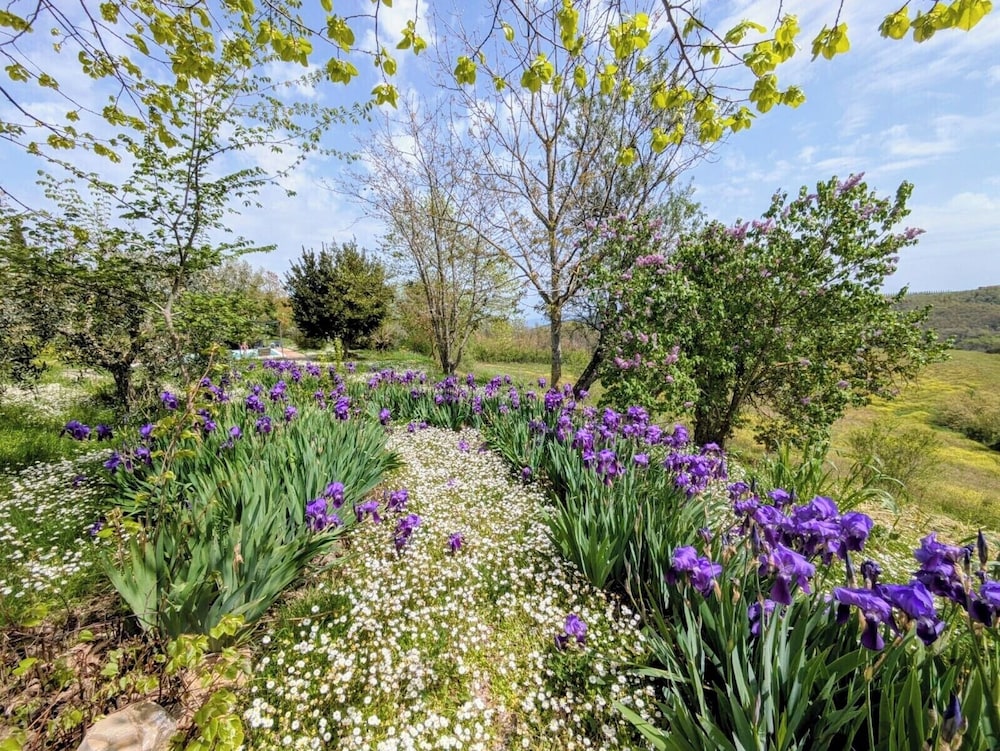 Agriturismo Casa Greppo - Il Melograno