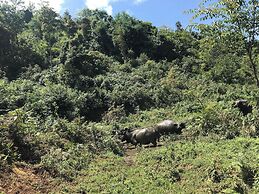 Fancy Sapa Hostel 2