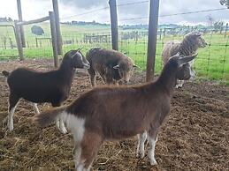 Jilly Park Farm Interactive Experience