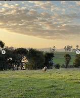 Jilly Park Farm Interactive Experience